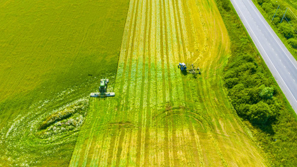 拖拉机mows谷物图片下载