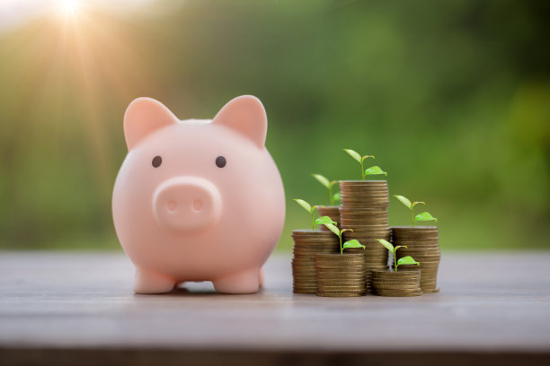 存钱罐储蓄概念的硬币堆叠增长图。企业融资而存钱投资，植物生长于币上。平衡储蓄和投资。储蓄退休利息的想法图片下载