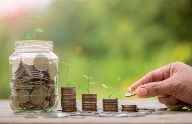 手放钱硬币。存钱罐储蓄概念的硬币堆叠增长图。企业融资而存钱投资，植物生长于币上。平衡储蓄和投资。图片下载