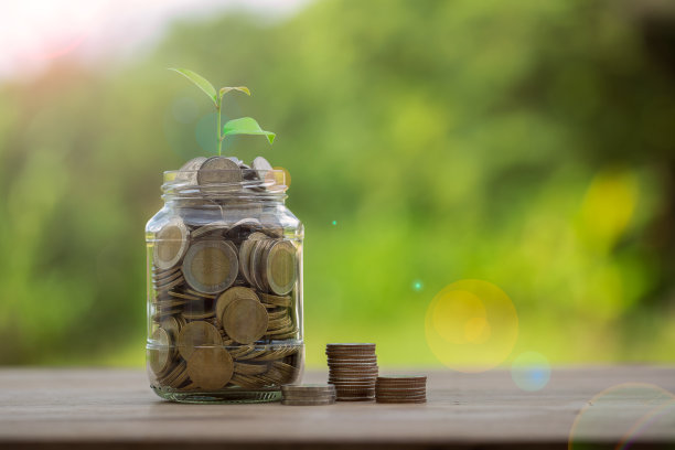 钱的硬币堆叠增长图形与玻璃罐储蓄的概念。企业融资而存钱投资，植物生长于币上。平衡储蓄和投资。储蓄退休利息的想法图片下载