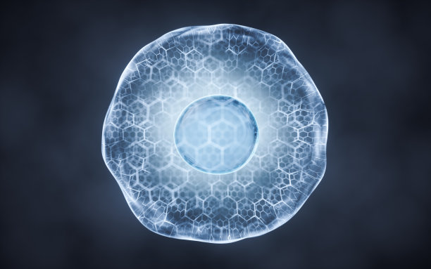 生物细胞用薄膜，3d渲染。图片下载