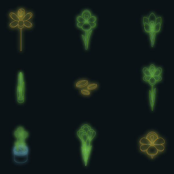 番红花图标设置霓虹图片下载