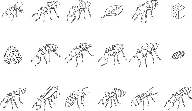蚂蚁图标设置大纲图片下载