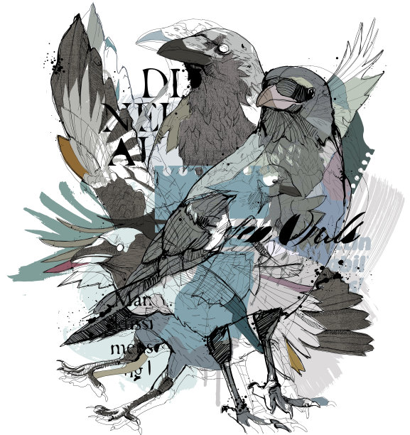 乌鸦拼贴图片下载