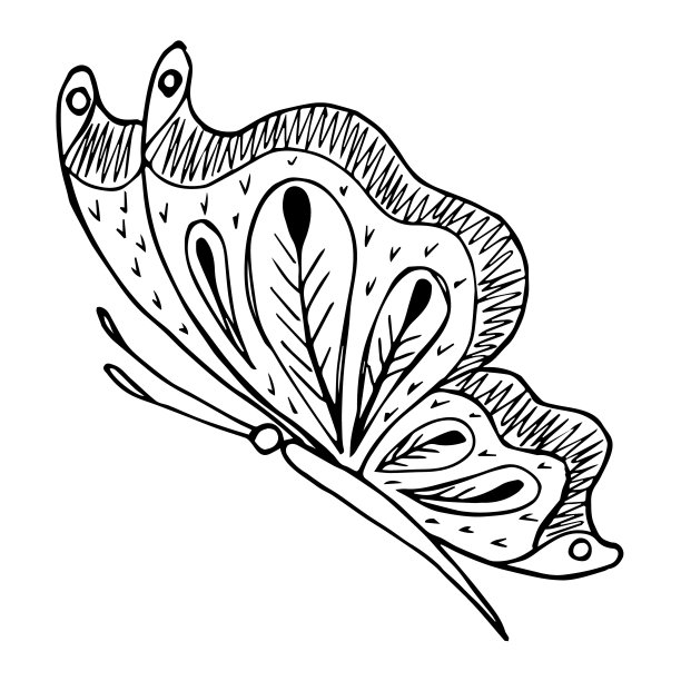 手绘蝴蝶涂鸦元素用于着色，邀请，明信片。图片下载