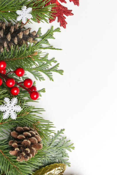 圣诞树的树枝，针叶树球果和红色浆果顶部视图复制空间在白色背景。圣诞节，寒假，新年的概念。图片下载