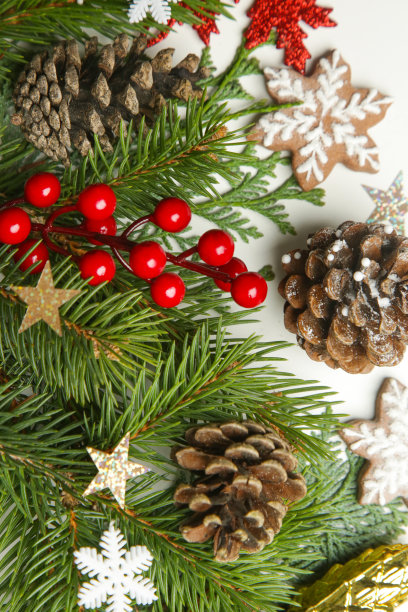圣诞装饰。圣诞树的树枝，红色的浆果和雪花形状的饼干在白色的背景。图片下载