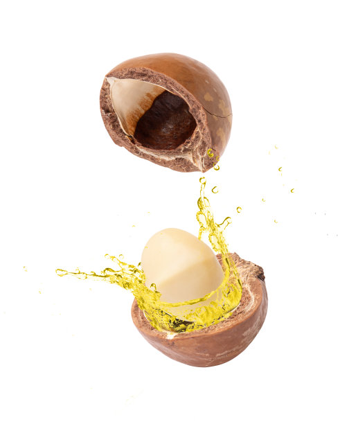 澳洲坚果油图片下载