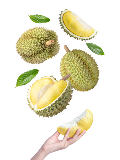 手持榴莲图片下载