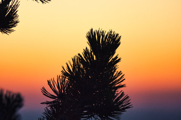 日落时分，普罗旺斯山顶的全景。图片下载