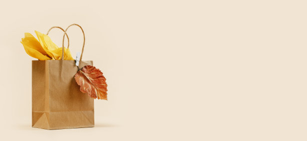 秋季礼物或促销的概念。购物纸袋，秋天装饰。图片下载