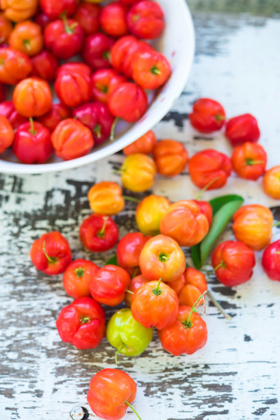 针叶,巴巴多斯樱桃图片下载