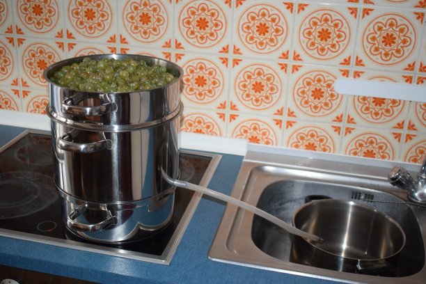 用白葡萄蒸榨汁机图片下载