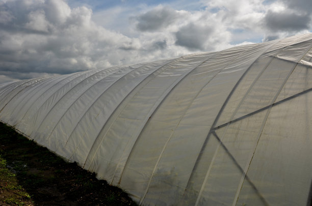 拱形衬托温室。适合种植蔬菜和需热的观赏植物作物。便宜宽敞的建筑可以很快建成。他们没有暖气图片下载