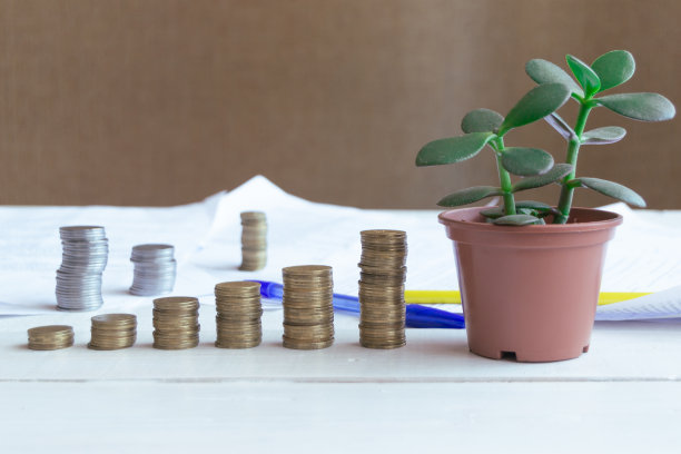 硬币被堆放在桌子上，与室内植物crassula，节约的概念和金融和商业增长。图片下载