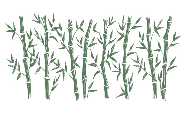 竹树。手绘的风格。矢量插图。图片下载
