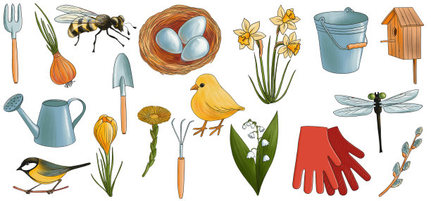 在白色背景画花园工具图片下载