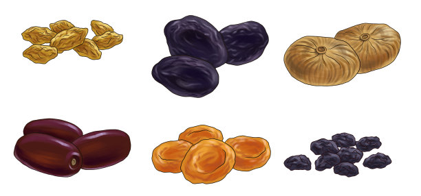 画白底干果图片下载