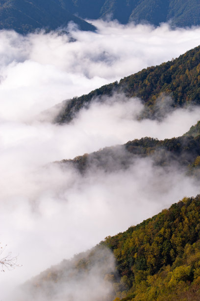 秋叶和云海图片下载