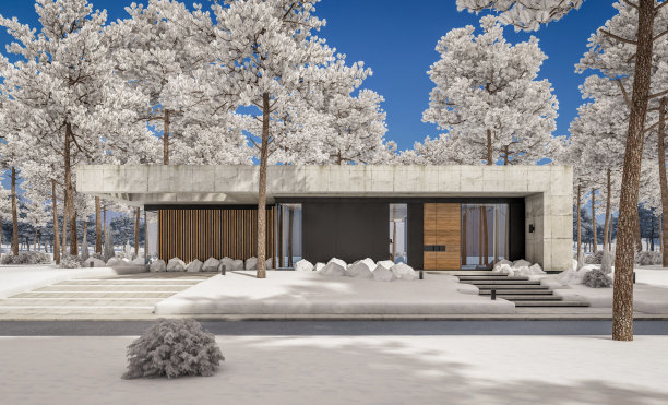 冬季现代风格的新混凝土房屋3d效果图图片下载