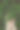 俯视图的女园丁在一个大温室拿着一个盆栽植物。花幼苗生长。图片下载