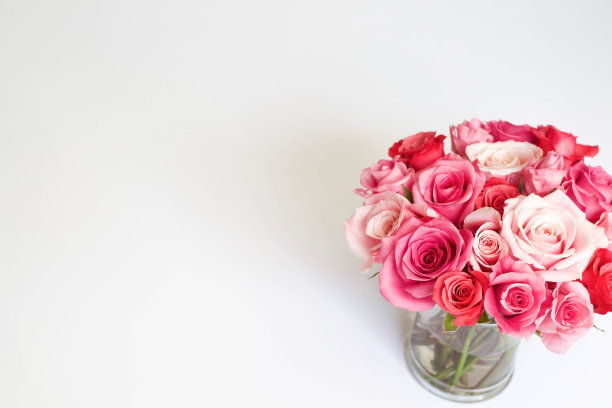 玫瑰花在白色背景，花平库存照片图片下载