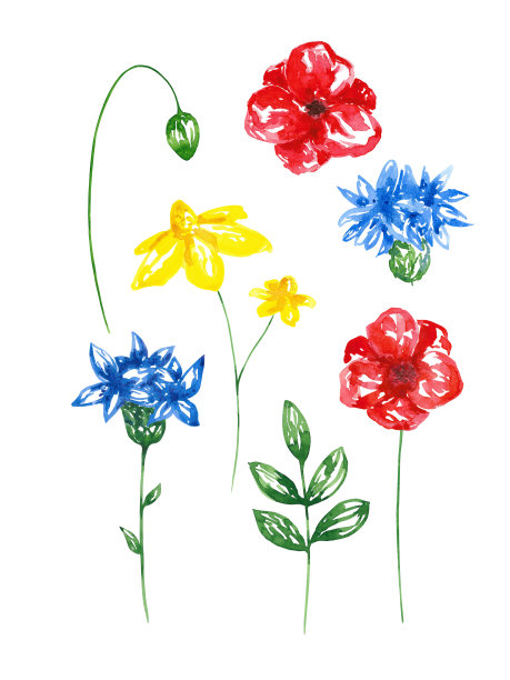 野外花收集图片下载