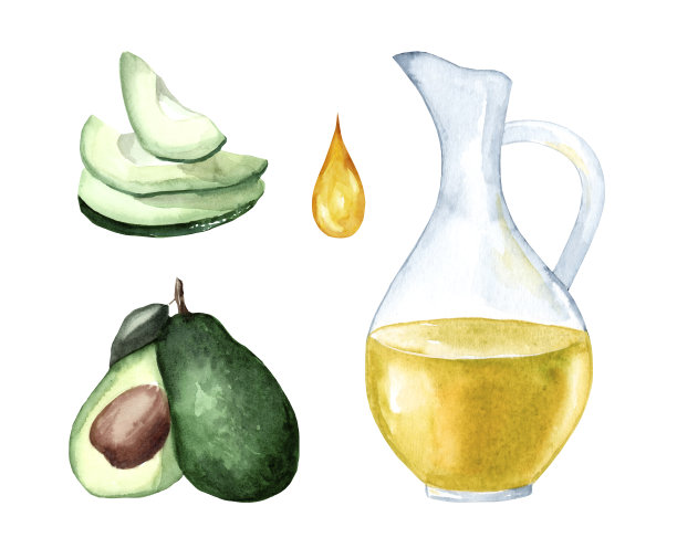 新鲜成熟的鳄梨与鳄梨油壶设置，水彩手绘插图，孤立在白色背景图片下载