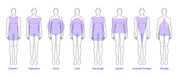 男士身体形状类型:三角形，圆柱，梯形，圆形，椭圆形，方形，倒置。男性矢量轮廓素描孤立的插图剪影9头大小绅士的数字前视图男孩图片下载