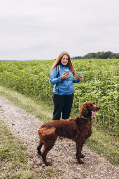 女人拿着纸地图，智能手机和她的朋友狗在乡村道路背景。人类和狗。与宠物独处与休闲的概念。生活方式的肖像。高质量的照片图片下载