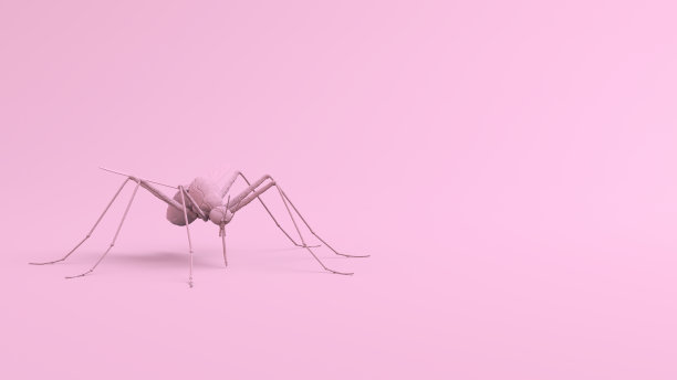 粉红色的蚊子图片下载