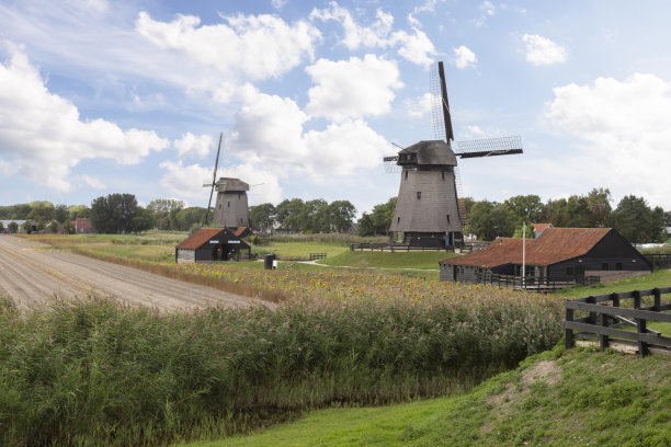 风车在荷兰北部乡村的农业景观中。图片下载