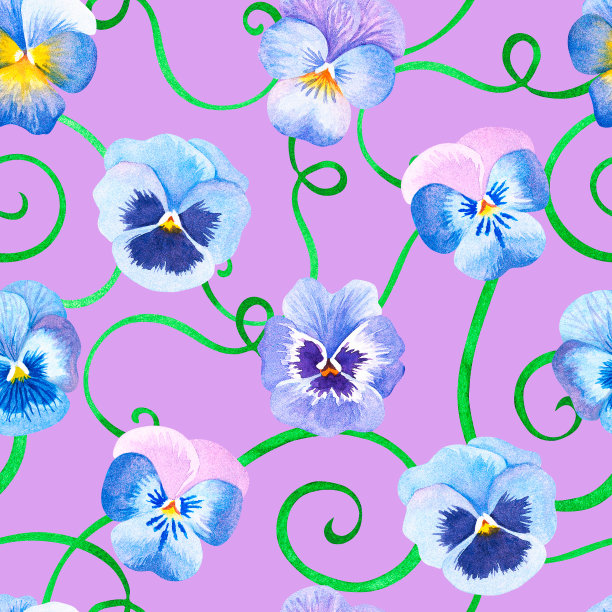 无缝的紫色的模式。三色紫罗兰。水彩插图。孤立在紫色的背景上。图片下载