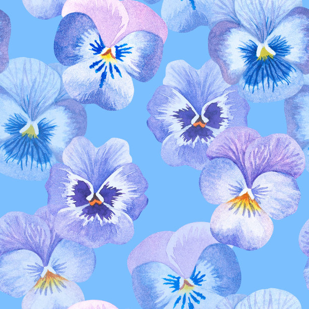 无缝的紫色的模式。三色紫罗兰。水彩插图。孤立在蓝色背景上。图片下载