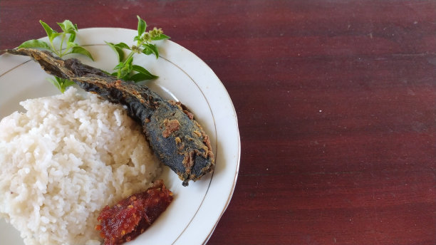 番茄桑巴鲶鱼饭插画摄影图片下载