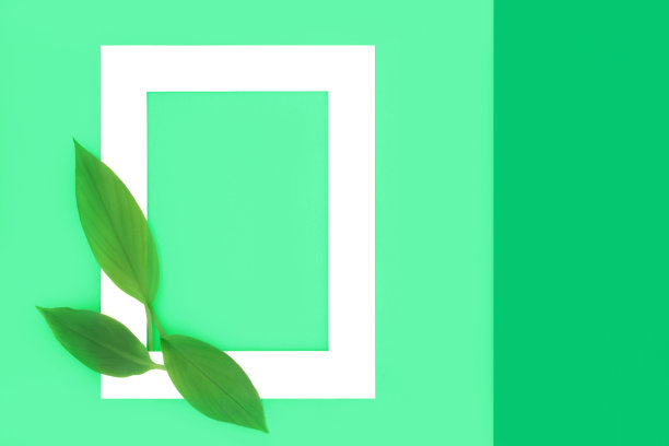 姜黄叶环保背景边框设计图片下载