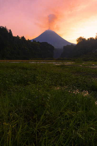 以山为背景，长满水生植物的湖泊图片下载