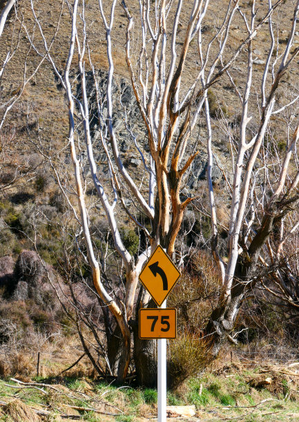 速度顾问签署图片下载