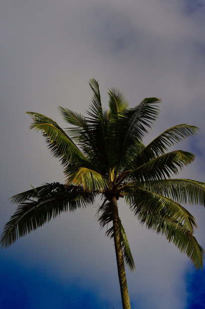 塔希提岛图片下载