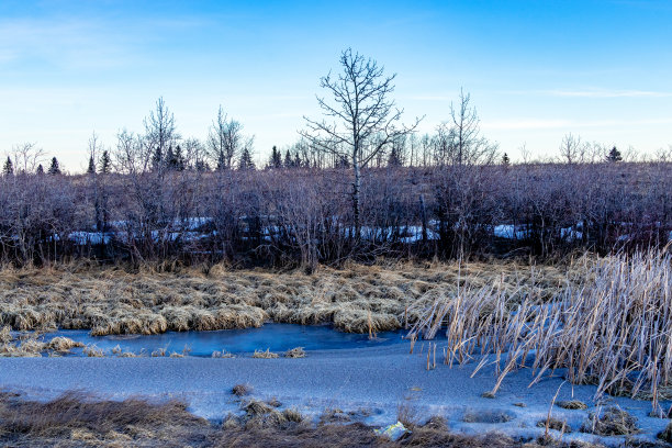 驾车游览加拿大阿尔伯塔省的大角省图片下载