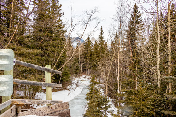 夏村，亚克湖，阿尔伯塔，加拿大图片下载