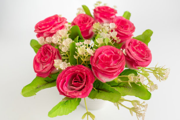 白色背景的人造花图片下载