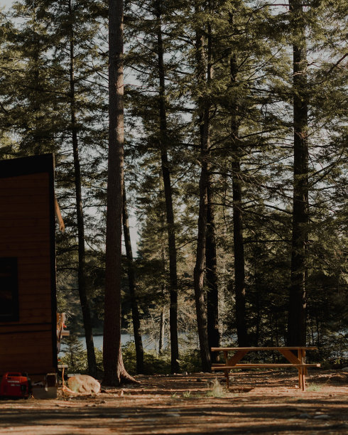 林中小屋图片下载