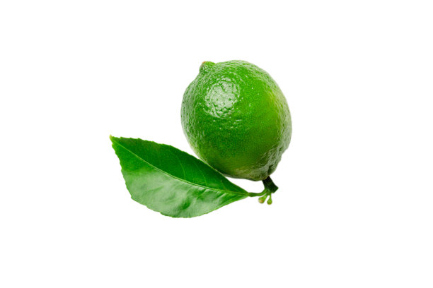 新鲜的酸橙柑橘果实孤立在白色背景俯视图图片下载