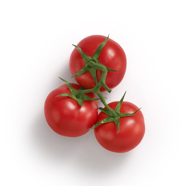 白色背景上孤立的番茄图片下载