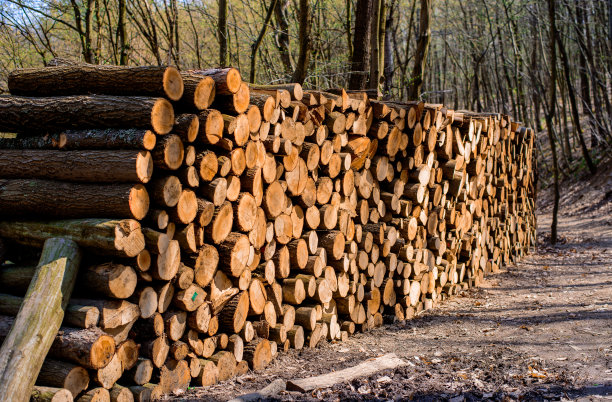 冬天生火用的原木。图片下载