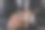 酒保把一杯加冰的威士忌递给男客人。酒吧的其余概念的特写严肃的商人拿着威士忌显示行政特权的概念。图片下载
