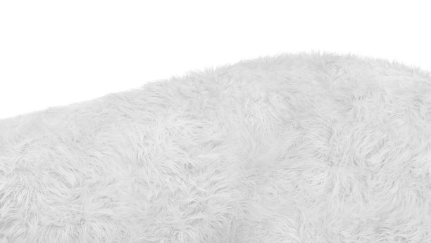 特写的白色皮毛背景纹理图片下载