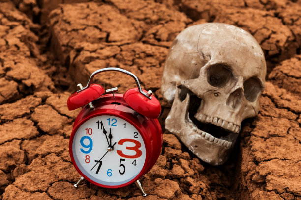 沙漠中干裂的粘土背景上的人类头骨图片下载