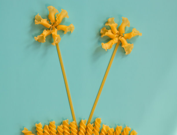 蓝色背景上各种未煮熟的意大利面，俯视图。图片下载